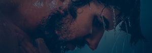 Ritual Sensualidad Masculina - Jardín de los Deseos